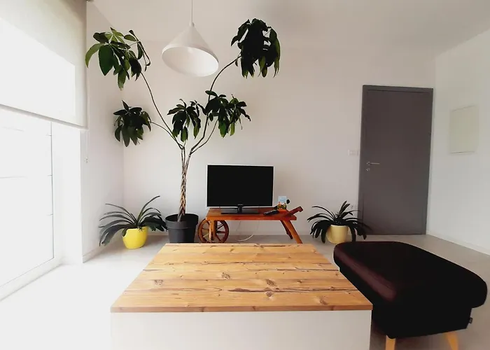 Green Bee Apartment